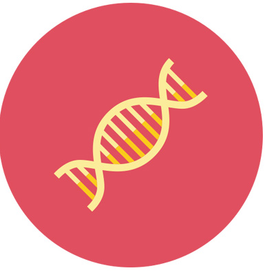 ���߿��з���