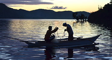 ũ������