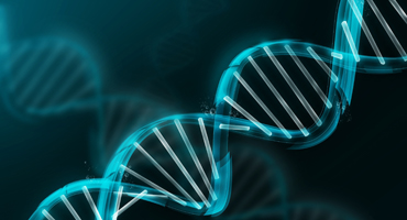 �̿��������вɹ�B2B�������