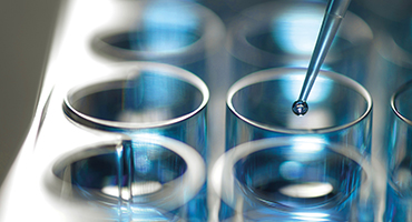 ���������ʮ����רע�ڵ���ƽ̨app�������̳�ϵͳ����